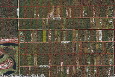 Купить земельный участок в Нейплс, Флорида № 2026723 - фото 2