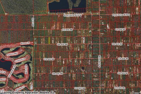 Купить земельный участок в Нейплс, Флорида № 2026723 - фото 3