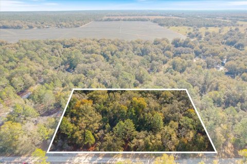 Terreno en venta en Crystal River, Florida № 1873641 - foto 1