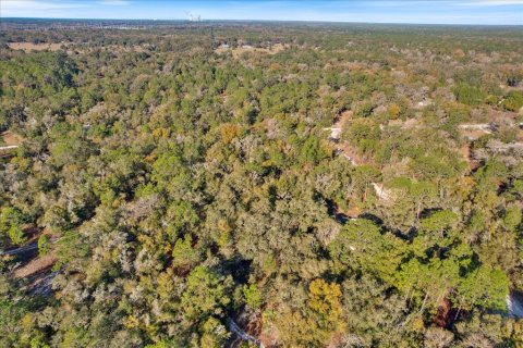 Terreno en venta en Crystal River, Florida № 1873641 - foto 5
