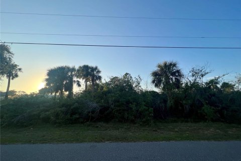 Land in Port Charlotte, Florida № 2374137 - photo 2