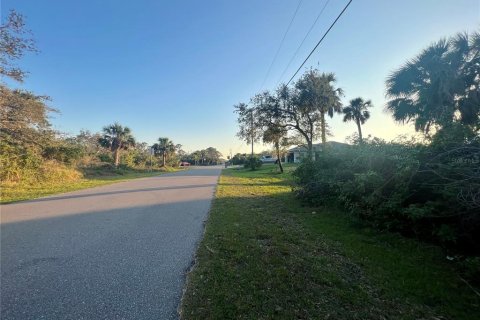 Land in Port Charlotte, Florida № 2374137 - photo 3