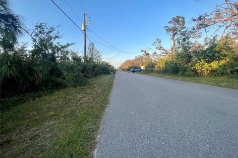 Land in Port Charlotte, Florida № 2374137 - photo 4