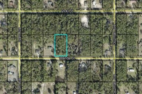 Land in Hastings, Florida № 2369220
