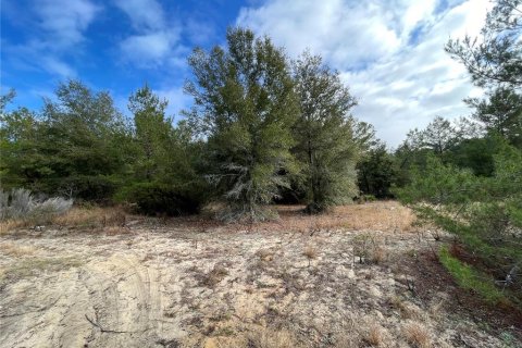Land in Interlachen, Florida № 1910457 - photo 5