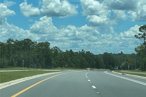 Land in Interlachen, Florida № 1910457 - photo 4