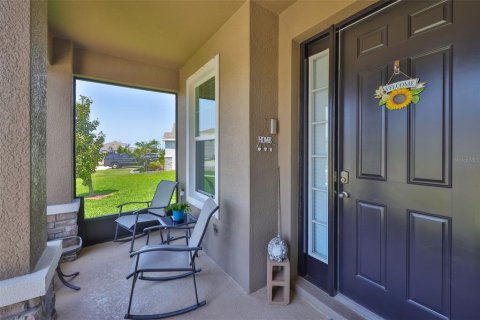 House in Riverview, Florida 5 bedrooms, 382.01 sq.m. № 1723428 - photo 4