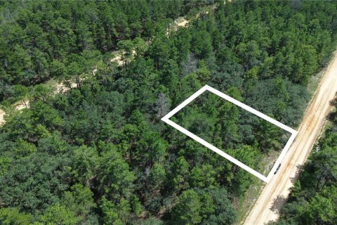 Land in Interlachen, Florida № 2358434