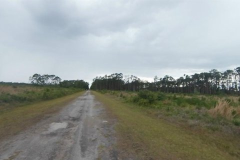 Terreno en venta en Indian lake estates, Florida № 2197532 - foto 5