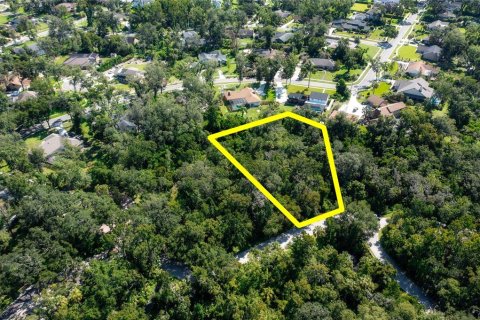 Terreno en venta en Brandon, Florida № 1916763 - foto 8