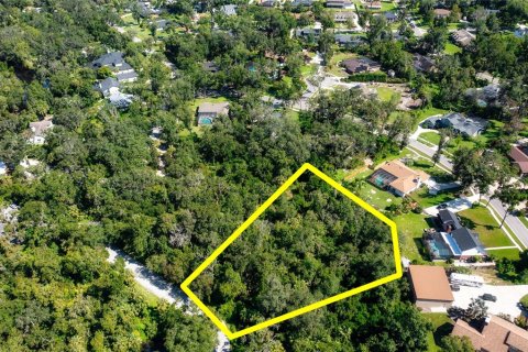 Terreno en venta en Brandon, Florida № 1916763 - foto 9