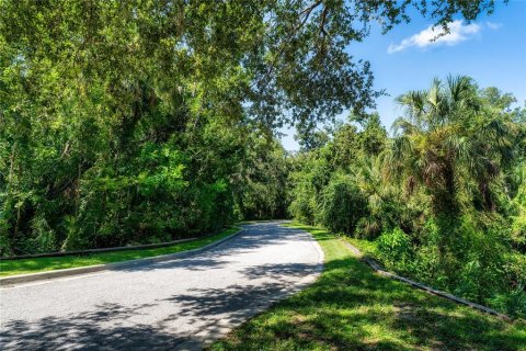 Terreno en venta en Brandon, Florida № 1916763 - foto 1