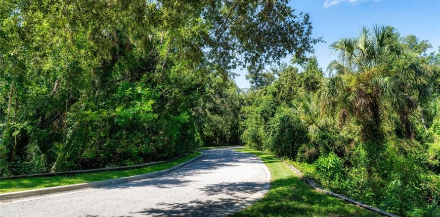 Terreno en Brandon, Florida № 1916763