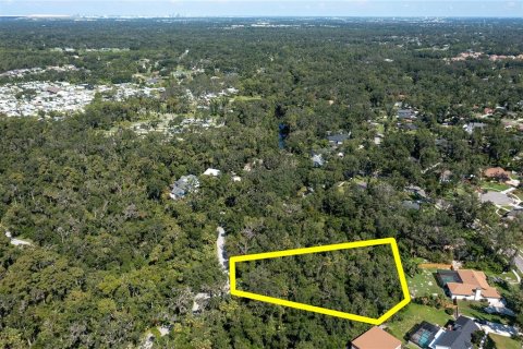 Terreno en venta en Brandon, Florida № 1916763 - foto 10