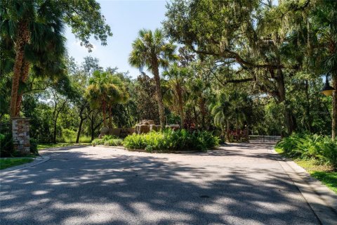 Terreno en venta en Brandon, Florida № 1916763 - foto 4