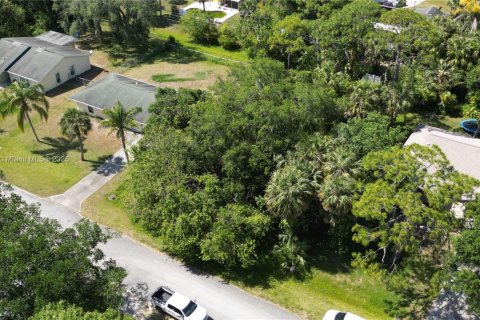 Land in St. Lucie, Florida № 2016106 - photo 5