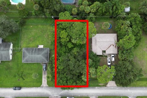 Land in St. Lucie, Florida № 2016106 - photo 10