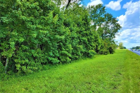Land in Orlando, Florida № 1131320 - photo 3