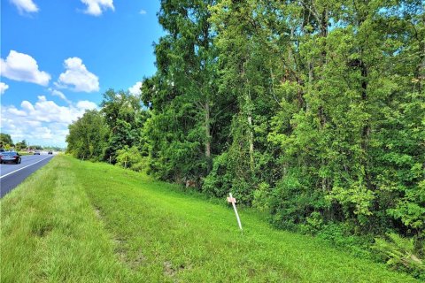 Land in Orlando, Florida № 1131320 - photo 2