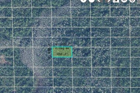 Land in Orlando, Florida № 2161947 - photo 3