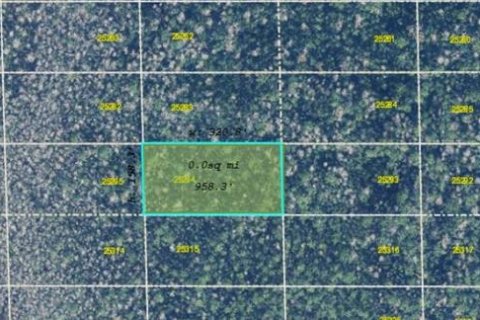 Land in Orlando, Florida № 2161947