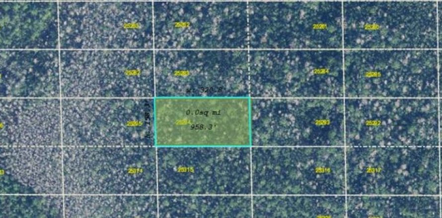 Land in Orlando, Florida № 2161947
