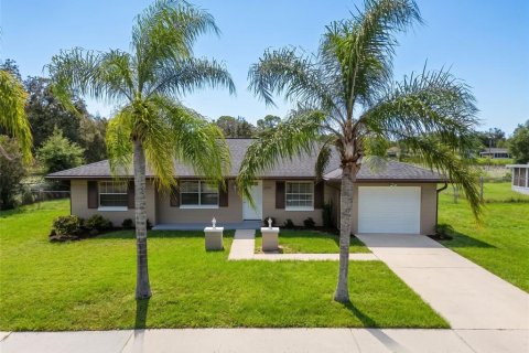 Villa ou maison à Deltona, Floride 3 chambres, 132.01 m2 № 2420070