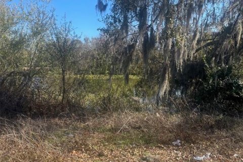 Land in Plant City, Florida № 2166734 - photo 2
