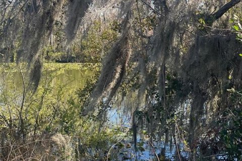 Land in Plant City, Florida № 2166734