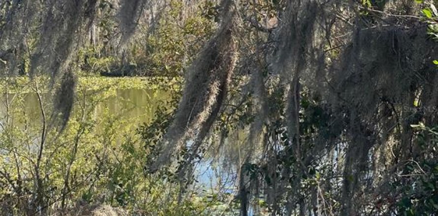 Land in Plant City, Florida № 2166734