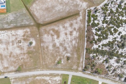 Купить земельный участок в Себринг, Флорида № 1706664 - фото 28