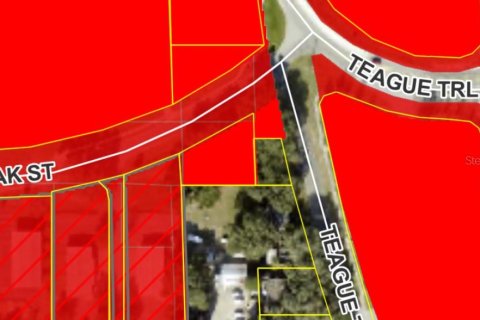 Terreno en venta en Lady Lake, Florida № 1554504 - foto 5