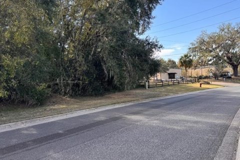 Terreno en venta en Lady Lake, Florida № 1554504 - foto 3