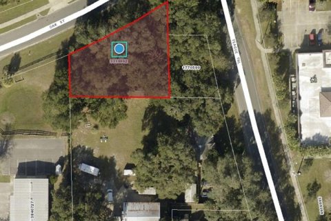 Terreno en venta en Lady Lake, Florida № 1554504 - foto 1