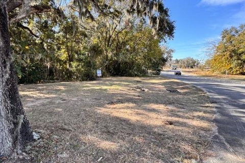 Terreno en venta en Lady Lake, Florida № 1554504 - foto 4