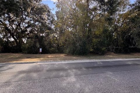 Terreno en venta en Lady Lake, Florida № 1554504 - foto 2