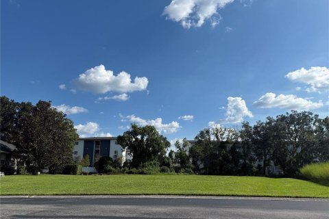 Terrain à Lakeland, Floride № 2143866