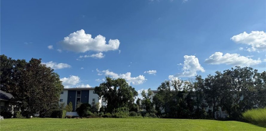 Terrain à Lakeland, Floride № 2143866