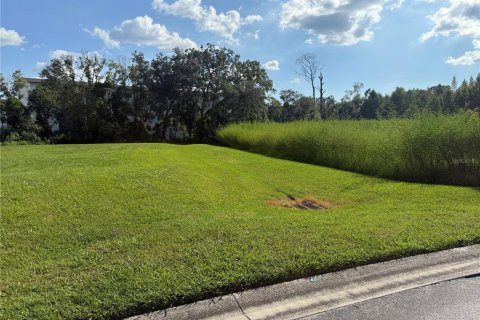 Terrain à vendre à Lakeland, Floride № 2143866 - photo 4