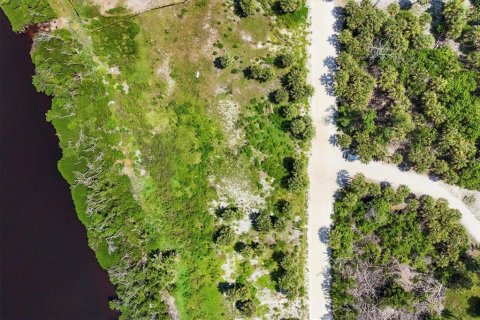 Terrain à vendre à Placida, Floride № 1857624 - photo 5