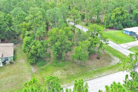 Land in Lehigh Acres, Florida № 2164336 - photo 4