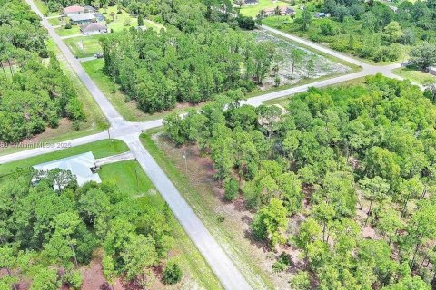 Land in Lehigh Acres, Florida № 2164336 - photo 17