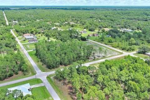 Land in Lehigh Acres, Florida № 2164336 - photo 16