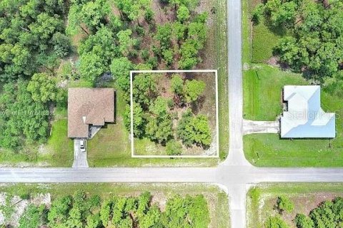 Land in Lehigh Acres, Florida № 2164336 - photo 2