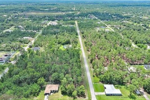 Land in Lehigh Acres, Florida № 2164336 - photo 12
