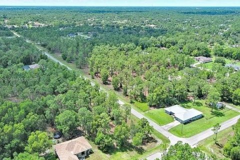 Land in Lehigh Acres, Florida № 2164336 - photo 7