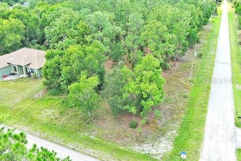 Land in Lehigh Acres, Florida № 2164336 - photo 5
