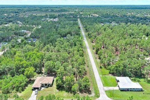 Land in Lehigh Acres, Florida № 2164336 - photo 9