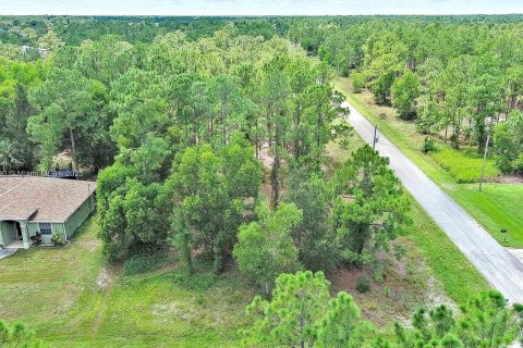 Land in Lehigh Acres, Florida № 2164336
