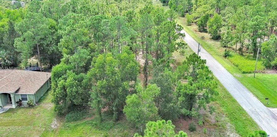 Land in Lehigh Acres, Florida № 2164336